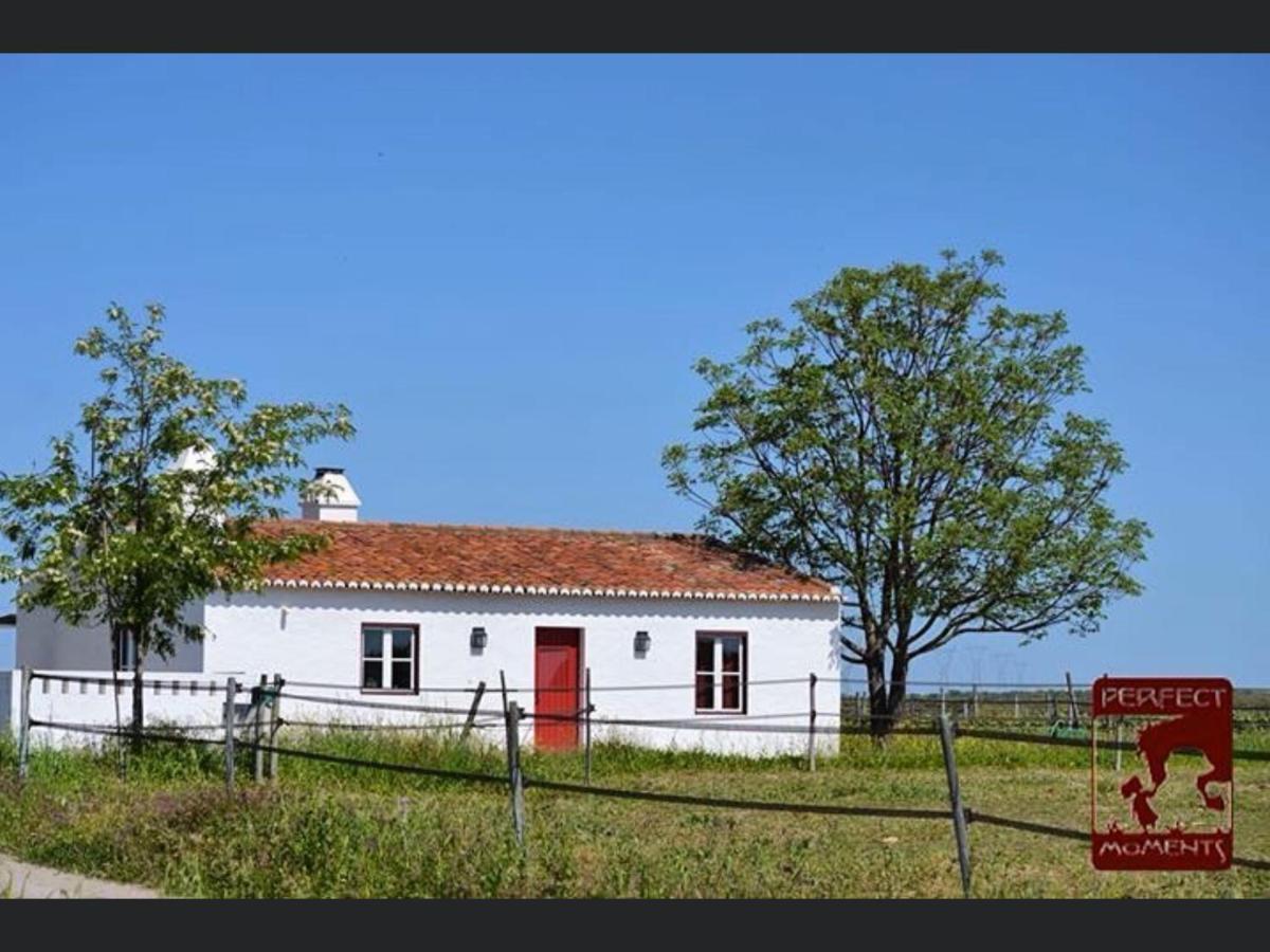 Alter do ChãoMonte Da Boavista - Country Family House别墅 外观 照片