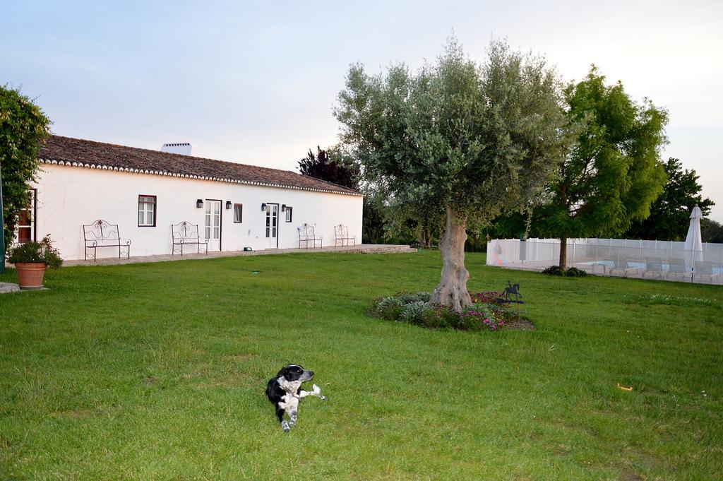 Alter do ChãoMonte Da Boavista - Country Family House别墅 外观 照片